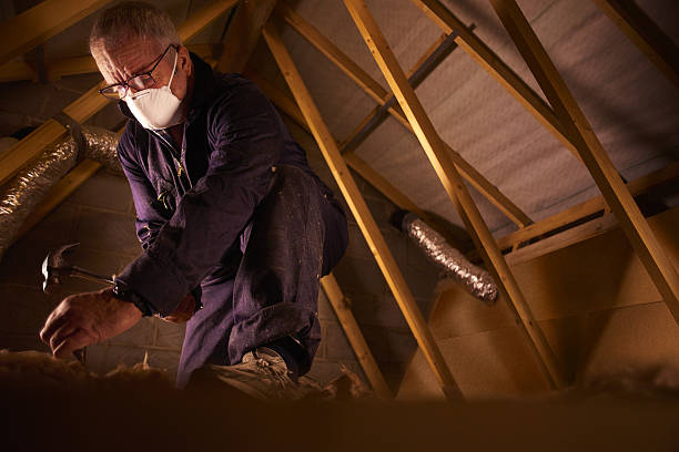 Best Fiberglass Insulation in Poth, TX